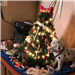 Animal Control Tree 1