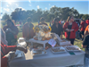 Community 17