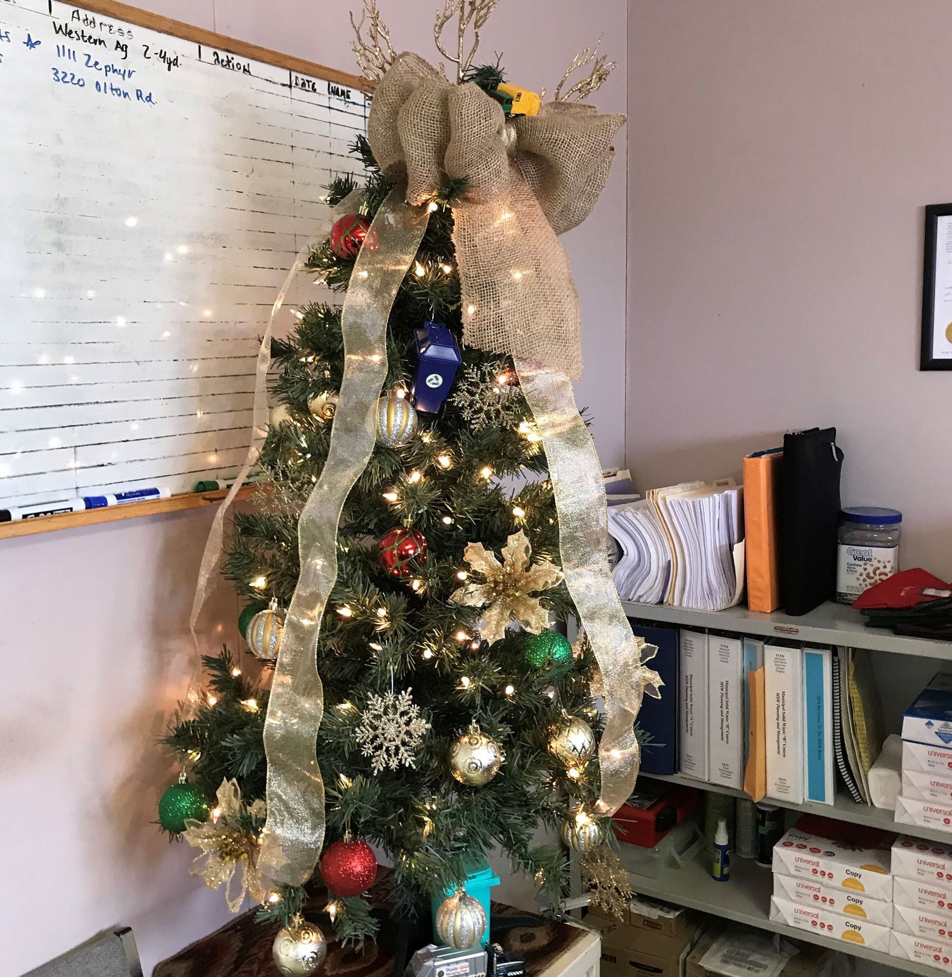 Landfill Tree 1