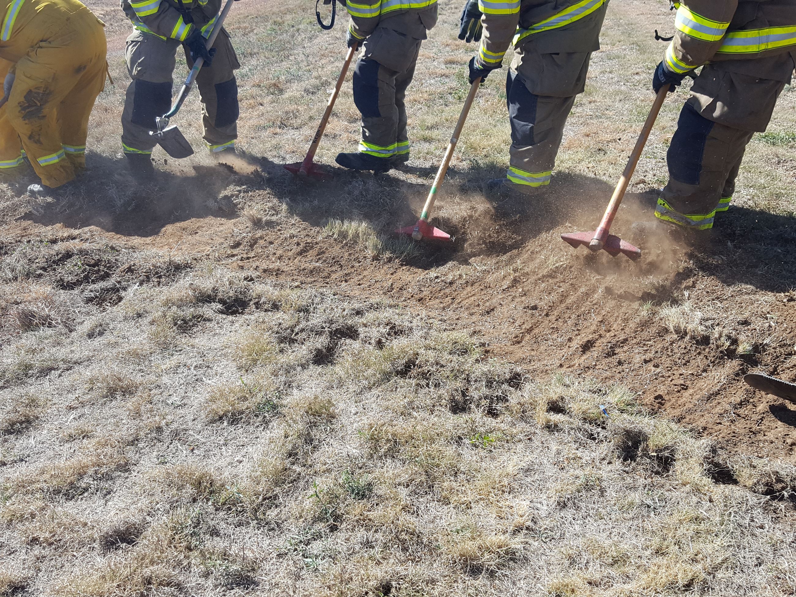 Fire Wild Land Training 3