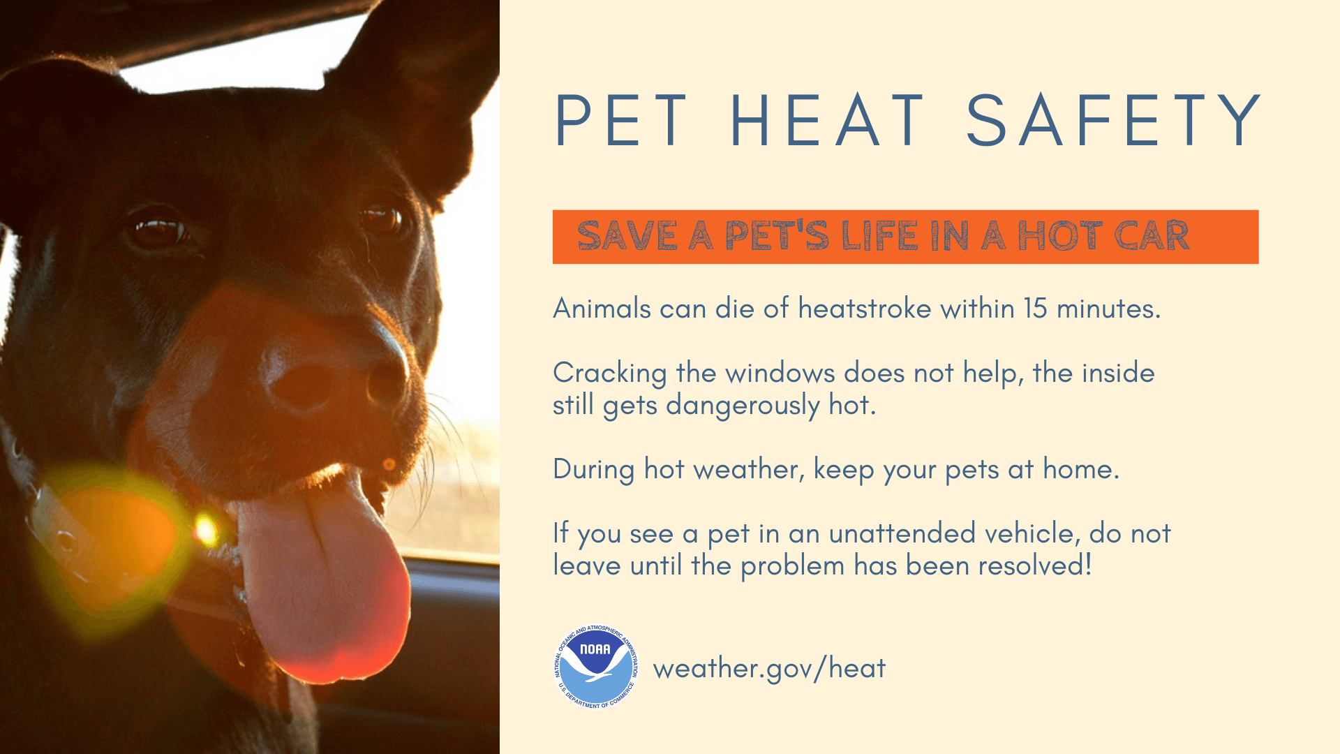 Heat-HotCarSeries-PETsafety