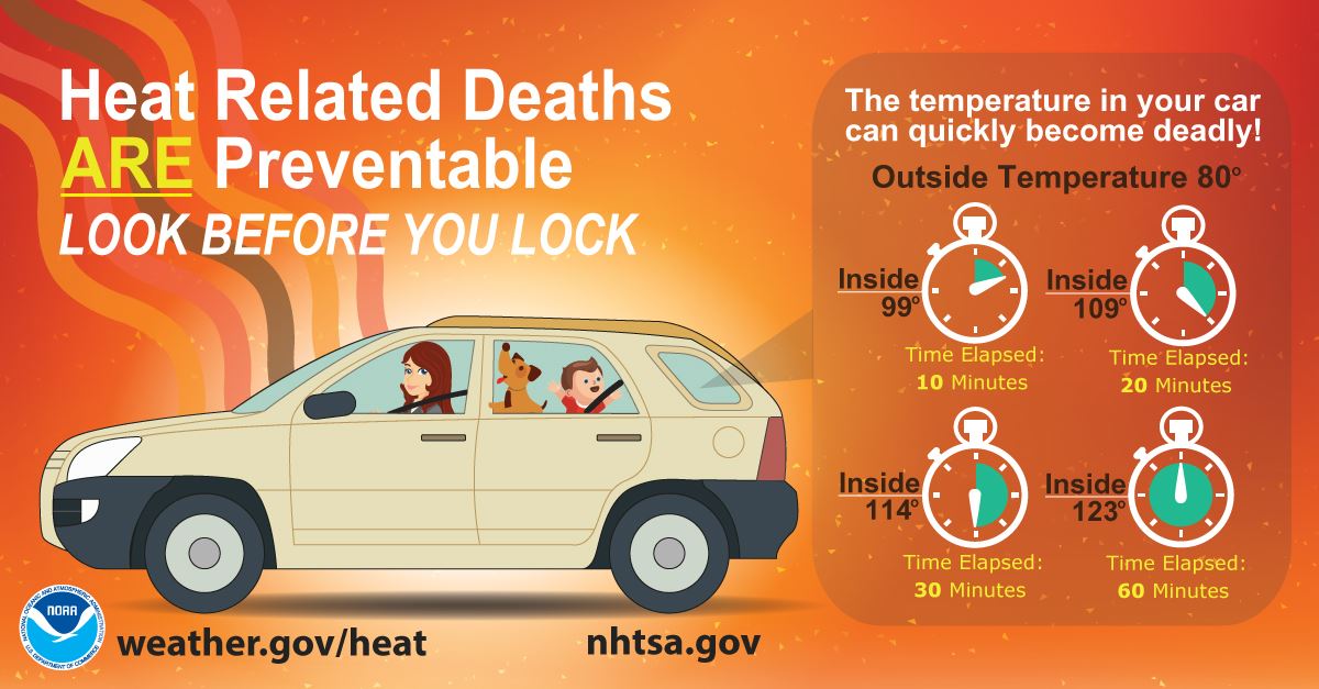 auto_safety_infographic