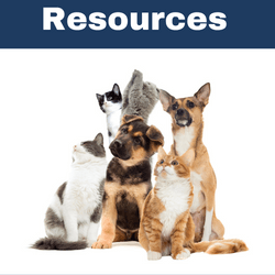 Animal Website 5