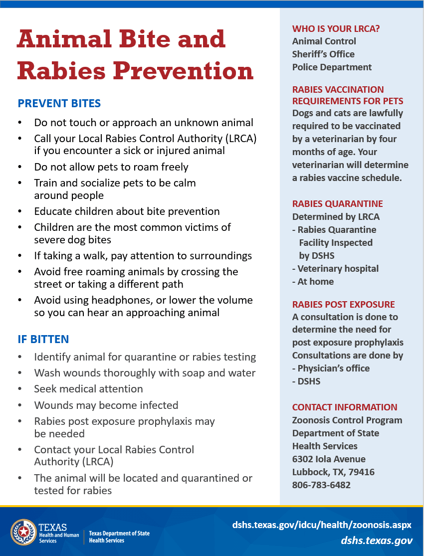Bite Rabies Info