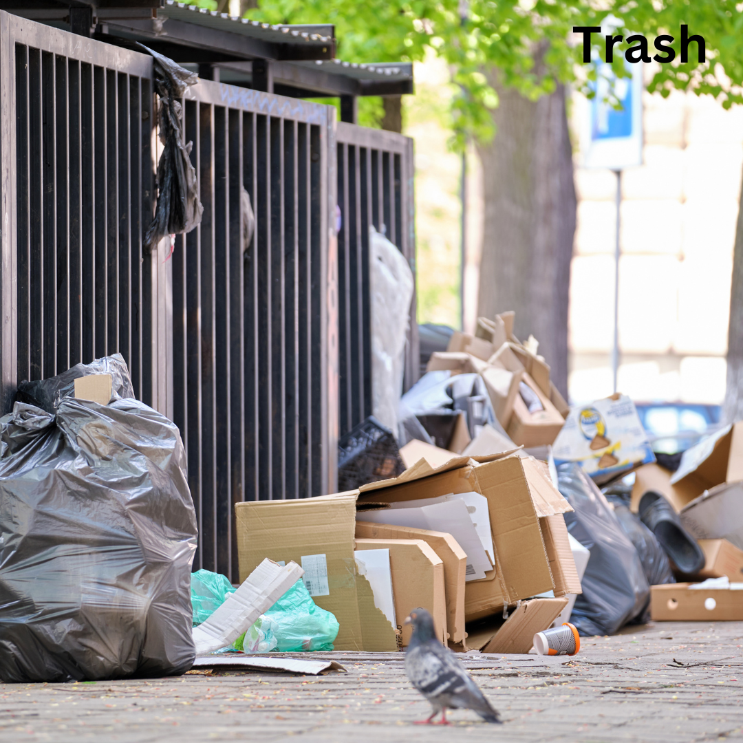 Trash