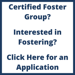 Foster Group Opens in new window
